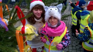 WP_20151203_019