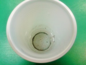 20160113_121309