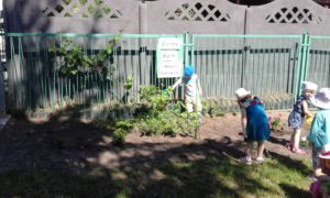 20160606_103209