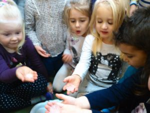 img_20161116_112029