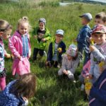 IMG_20190529_104058