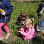 IMG_20190529_104227