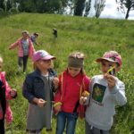 IMG_20190529_104803