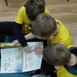 IMG_20200212_104047