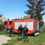 straz003