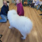 IMG20241022092236
