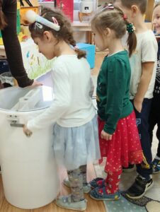 IMG20241219104618