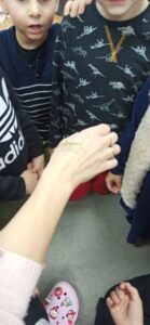 IMG_20241210_090841