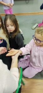IMG_20241210_091031