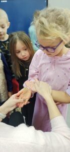 IMG_20241210_091153