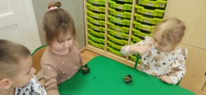 IMG_20250303_092037