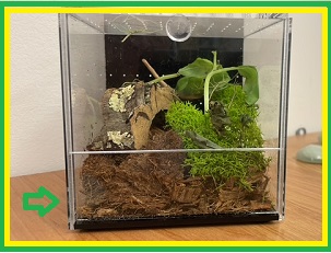 B6913F48-4AB7-45BC-9698-7EF7F6B851A6