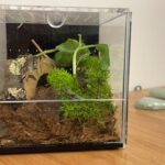 B6913F48-4AB7-45BC-9698-7EF7F6B851A6