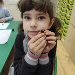 3cbb0b1a-d264-456b-a8dc-d0b35fb6d5ed